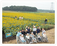 ひまわり農園で