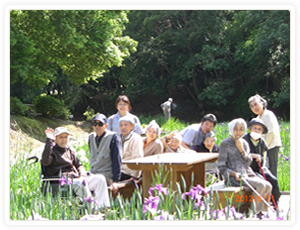 「はにわ公園」の菖蒲